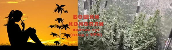 ПСИЛОЦИБИНОВЫЕ ГРИБЫ Киренск
