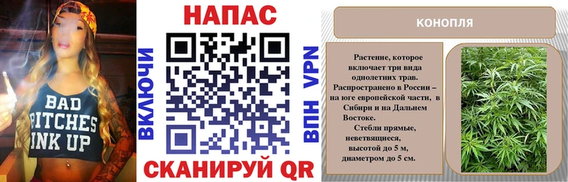 Купить закладки  Микунь  Каннабис AK-47 